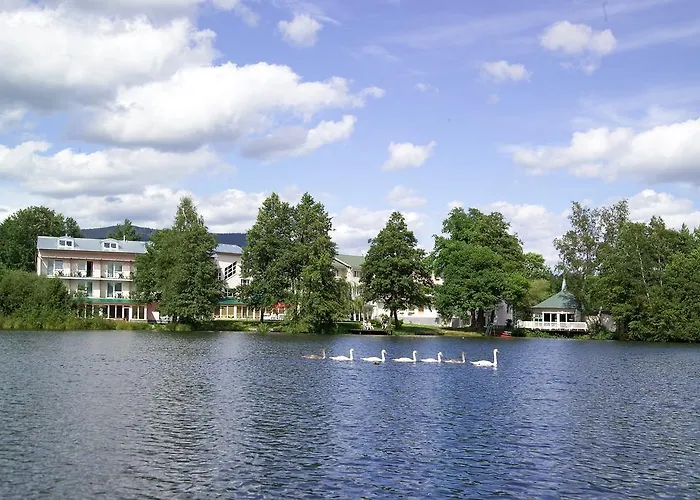 Riviera Nová Role